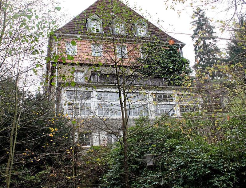 Siemens-Ettershaus erwacht aus dem Dornröschenschlaf Das Siemens-Ettershaus verschwindet im üppig wuchernden Park beinahe. Foto: Beckmann