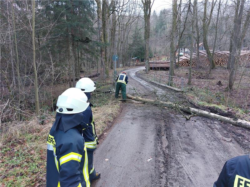 83-Jähriger fährt auf B6 in Leitplanke und wird verletzt Schnell zerteilten die Feuerwehrleute den umgestürzten Baum. Foto: Feuerwehr Goslar