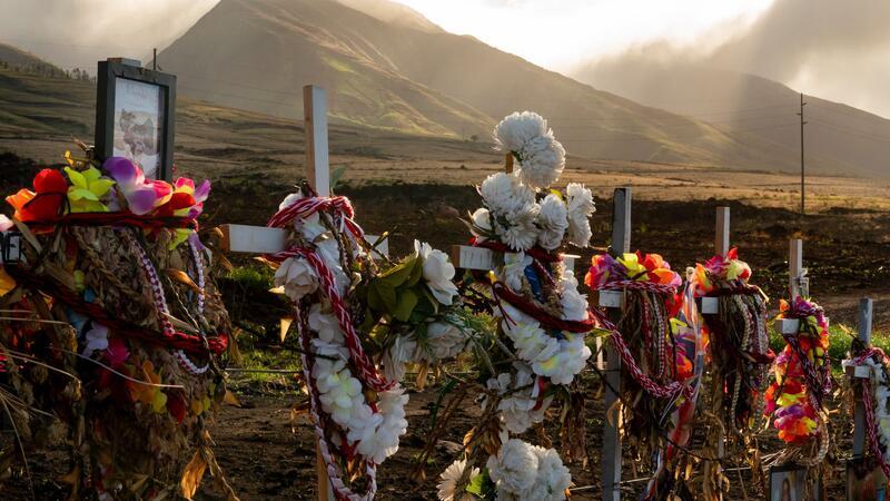  102 Menschen wurden Opfer der Brände auf Maui. (Archivbild)