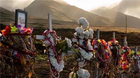  102 Menschen wurden Opfer der Brände auf Maui. (Archivbild)