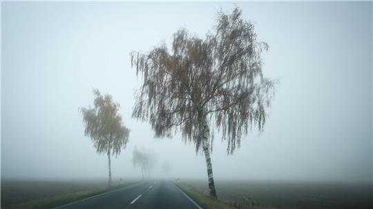 Das Wetter in Niedersachsen und Bremen bleibt wechselhaft mit gebietsweise Regen, Nebel und Frost. (Symbolbild)