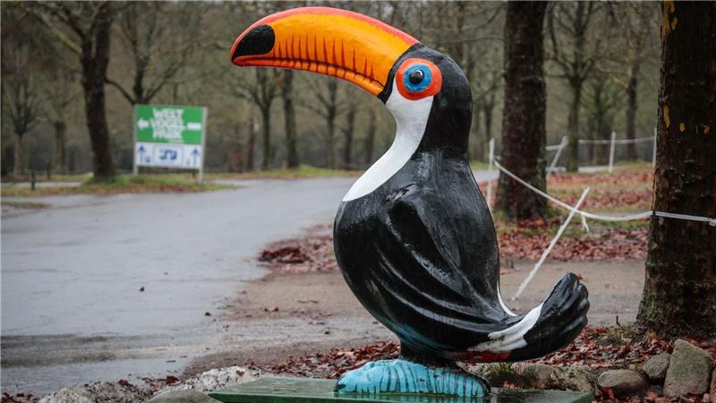  Im Weltvogelpark sind 80 Meeresvögel getötet worden. 