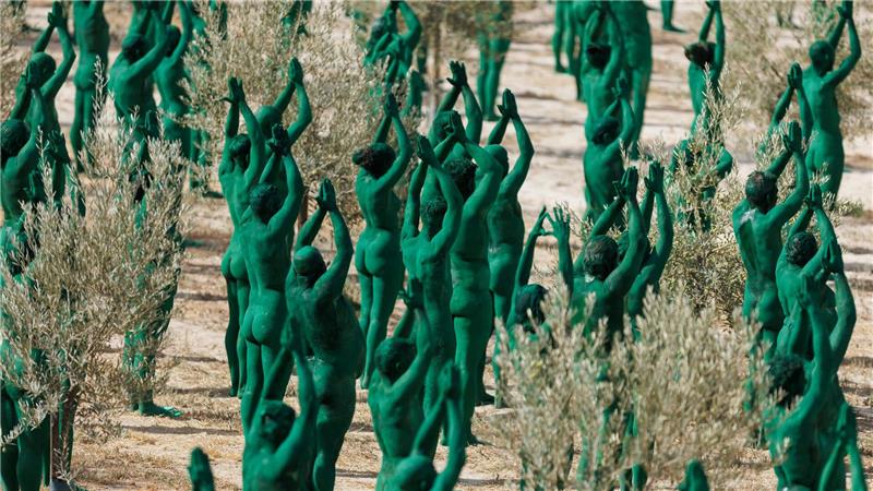 Bilder des Tages Kunstinstallation im Olivenhain