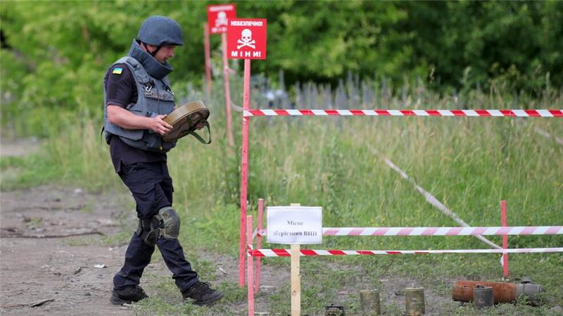  Meist müssen Felder Meter für Meter von Hand mit Metalldetektoren abgesucht werden. (Archivbild) 