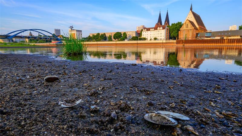  Niedrigwasser herrscht auch an der Oder bei Frankfurt (Oder).