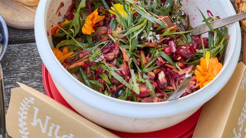 Brennnesseln statt Chia: Kräuterwanderung zur Heideblüte Salat aus Blüten und verschiedenen Kräutern bei Wanderung in der Heide.