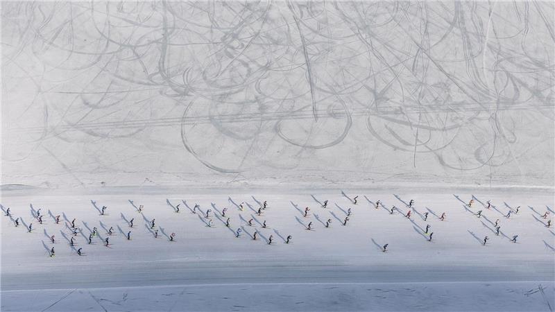  Skifahrer nehmen am 56. Engadin Skimarathon in Maloja teil.