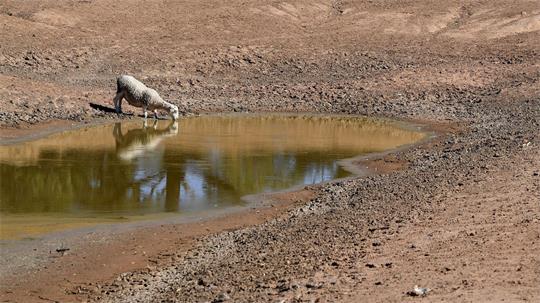  Zusätzlich zum Klimawandel durch menschengemachte Treibhausgase kommt nun das Wetterphänomen El Niño auf die Welt zu. (Symbolbild)