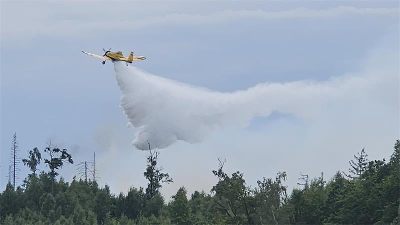 Ein gelbes Löschflugzeug fliegt über einen Wald und wirft Wasser ab.