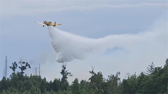Ein gelbes Löschflugzeug fliegt über einen Wald und wirft Wasser ab.