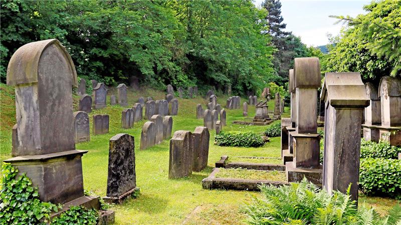 Friedhof mit mehreren alten Grabsteinen unterschiedlicher Formen und Größen, umgeben von Bäumen und Grünflächen.