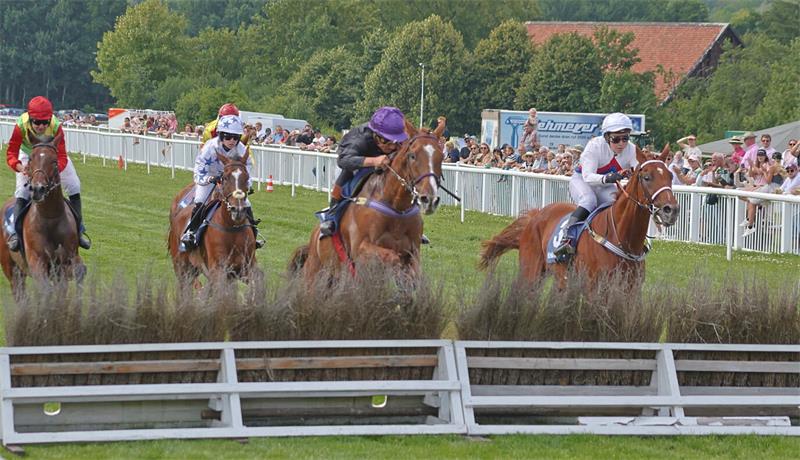 Mehrere Jockeys reiten auf Pferden über eine Hecke bei einem Pferderennen vor Zuschauern auf einer Rennbahn