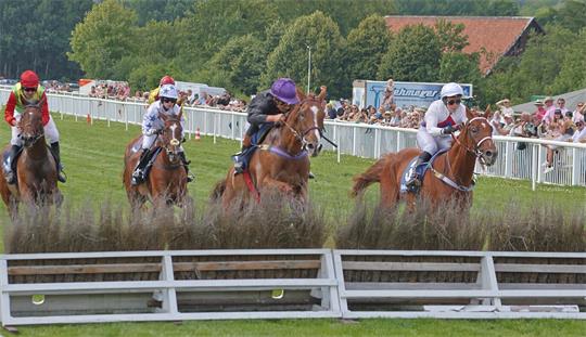 Mehrere Jockeys reiten auf Pferden über eine Hecke bei einem Pferderennen vor Zuschauern auf einer Rennbahn