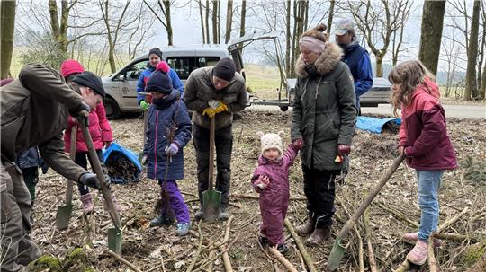 15 Kinder buddeln mit ihren Familien Buchen in den Oberharzer Waldboden.
