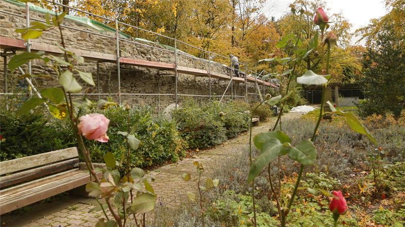 152 Meter Stadtmauer im Pfalzgarten werden saniert.