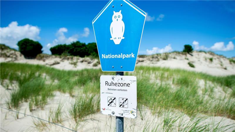 1986 wurde der Nationalpark Wattenmeer eingerichtet. (Archivbild)