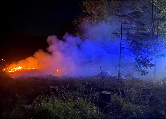 20 Quadratmeter Wald- und Wiesenfläche stehen an der Kreisstraße in Richtung Auffahrt Braunlage-Nord in Flammen.  Fotos: Feuerwehr