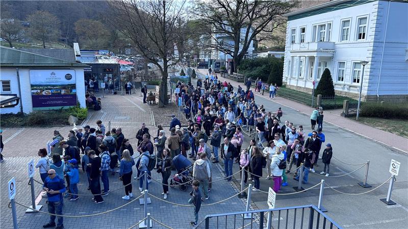 Was steckt hinter dem Erfolg des Bad Harzburger Baumwipfelpfades? 200.000 Besucher besuchen jedes Jahr den Baumwipfelpfad.