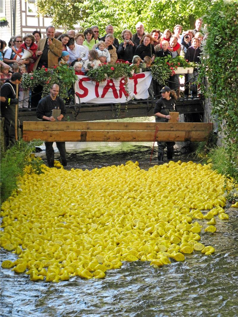 Entenrennen kehrt an die Abzucht zurück 2010 findet das Entenrennen zuletzt statt. Foto: GZ-Archiv
