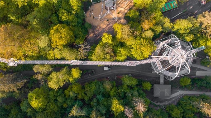 204.000 Gäste besuchen im Jahr 2025 den Baumwipfelpfad.
