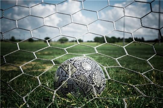 2050 Euro soll die TSG Bad Harzburg zur Anschaffung von zweier Fußballtore für den Nachwuchs erhalten. Symbolfoto: Pixabay