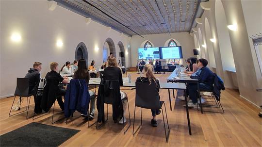 Goslar administration cancels youth project for 2026.