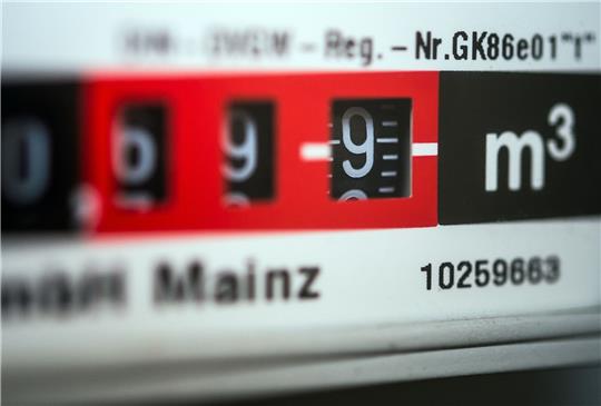 30 Prozent des Gasverbrauchs müssen runter, rechnet eine neue Studie vor. Foto: dpa