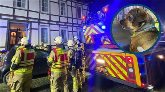 34 Feuerwehrleute aus Goslar waren in der Nacht in der Springerstraße im Einsatz.