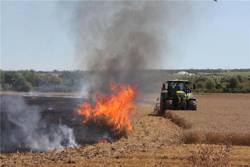 3,5 Hektar Feld standen in Flammen. Foto: Hohaus