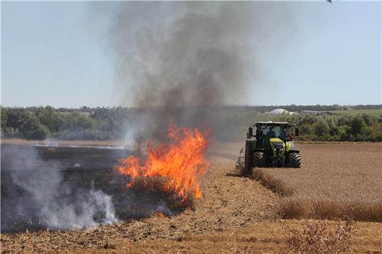 3,5 Hektar Feld standen in Flammen. Foto: Hohaus