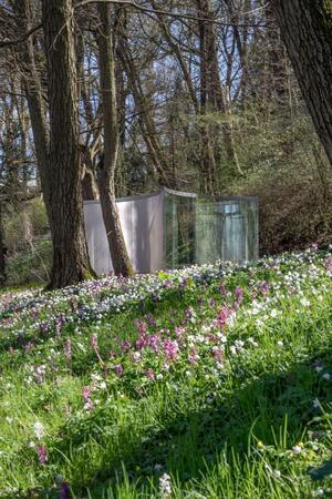Auf einem Wiesenhang blühen Blümchen. Zwischen Bäumen im Hintergrund steht eine transparente Installation.
