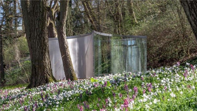 Auf einem Wiesenhang blühen Blümchen. Zwischen Bäumen im Hintergrund steht eine transparente Installation.