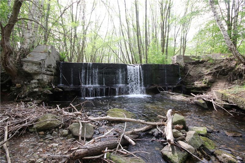 4,50 Meter stürzt die Ecker am Wehr in die Tiefe – für Wasserlebewesen ist es nicht zu überwinden. Aber das marode Bauwerk soll in eine fischdurchlässige Sohlgleite umgebaut werden.  Fotos: Privat/Gereke