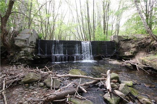 4,50 Meter stürzt die Ecker am Wehr in die Tiefe – für Wasserlebewesen ist es nicht zu überwinden. Aber das marode Bauwerk soll in eine fischdurchlässige Sohlgleite umgebaut werden.  Fotos: Privat/Gereke