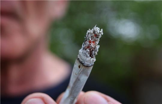 Ab dem 1. April wird es eine Teil-Legalisierung von Cannabis geben.