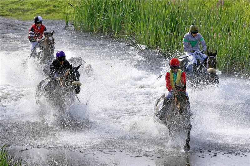 Zum Ausklang wird es noch einmal feucht Ab in den Teich: Das zweite Seejagdrennen beschließt am Sonntag traditionell die Harzburger Rennwoche. Foto: Epping
