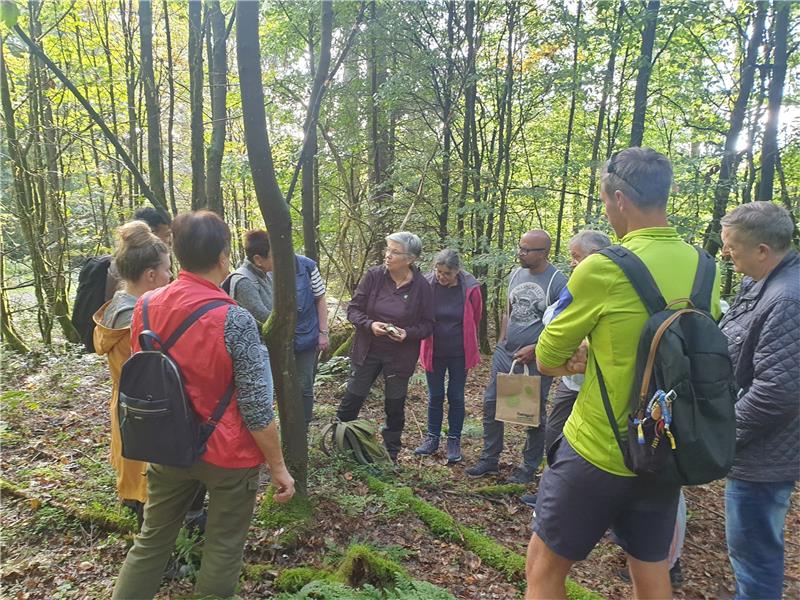 Worauf Pilzejäger im Wald achten müssen Ab in die Pilze: Gäste aus ganz Deutschland lauschen der Göttinger Expertin Cornelia Gerke bei der Exkursion in Hahnenklee. Foto: Abraham