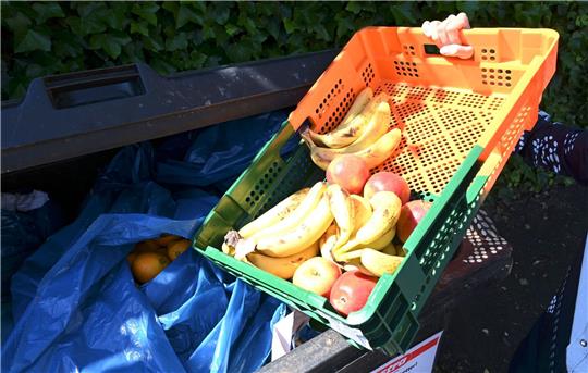 Ab in die Tonne: Dem UN-Bericht zufolge verschwendete jede Person im Jahr 2022 im Schnitt 79 Kilogramm Lebensmittel.