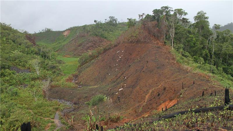 Abgeholzter Wald in Madagaskar