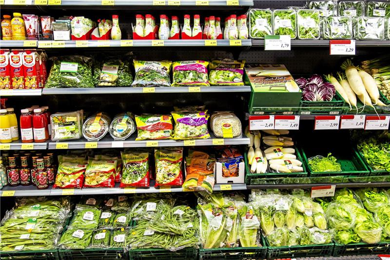 Abgepackte Salate können Mikroorganismen in großen Mengen enthalten, insbesondere wenn sie falsch gelagert werden. Foto: imago stock