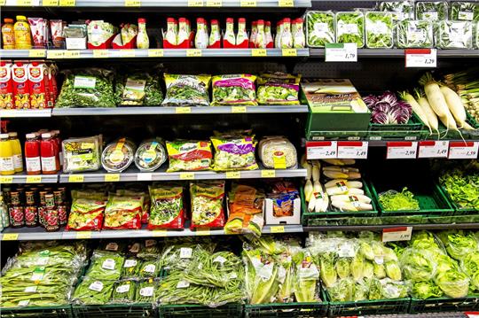 Abgepackte Salate können Mikroorganismen in großen Mengen enthalten, insbesondere wenn sie falsch gelagert werden. Foto: imago stock