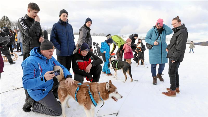 Die Bockswieser Höhe in Clausthal-Zellerfeld ist verschneit. Viele Menschen und Schlittenhunde tummeln sich bei der Veranstaltung vor einigen Jahren.