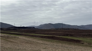 Acht Hektar Bewuchs sind weg. War die Rodung in diesem Umfang genehmigt? 
