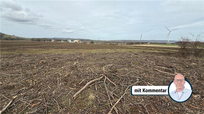 Acht Hektar wurden gerodet, nur 1,8 Hektar wären aber erlaubt.