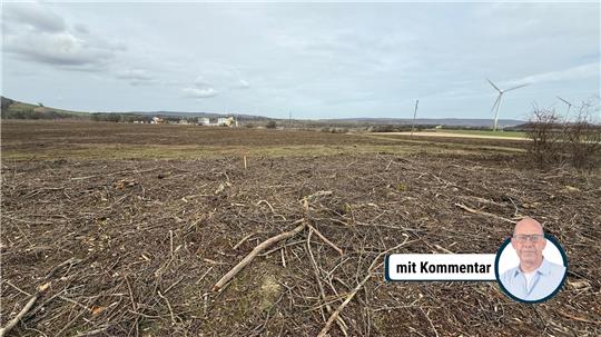 Acht Hektar wurden gerodet, nur 1,8 Hektar wären aber erlaubt.