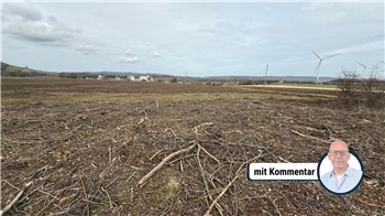 Acht Hektar wurden gerodet, nur 1,8 Hektar wären aber erlaubt.