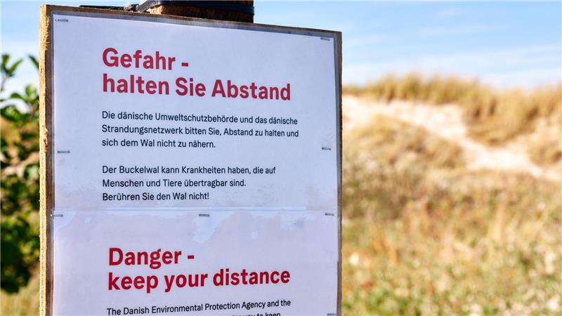 Achtung, Ansteckungsgefahr! Die Behörden warnen auch auf Deutsch.