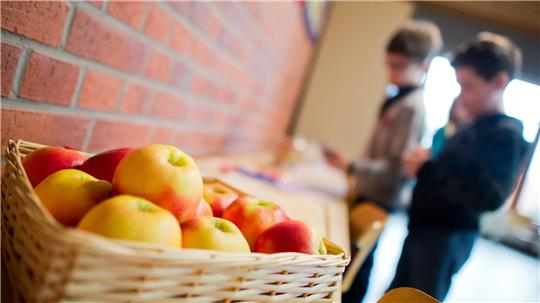Äpfel im Klassenzimmer: In immer mehr Schulen gehört frisches Obst fest zum Alltag. (Archivbild)