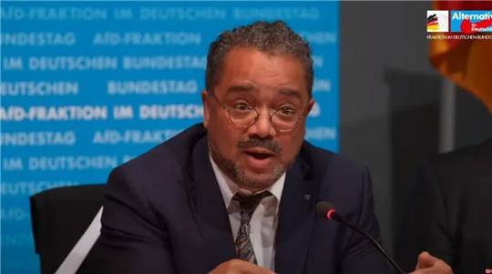 AfD-Abgeordneter Harald Weyel  Foto: Youtube/AfD