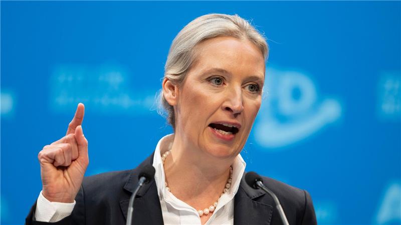 Sellner: AfD zwischen Abgrenzung und Nähe AfD-Chefin Alice Weidel beim Parteitag im Januar 2025 in Riesa: „Dann heißt es eben Remigration“ (Archivbild)